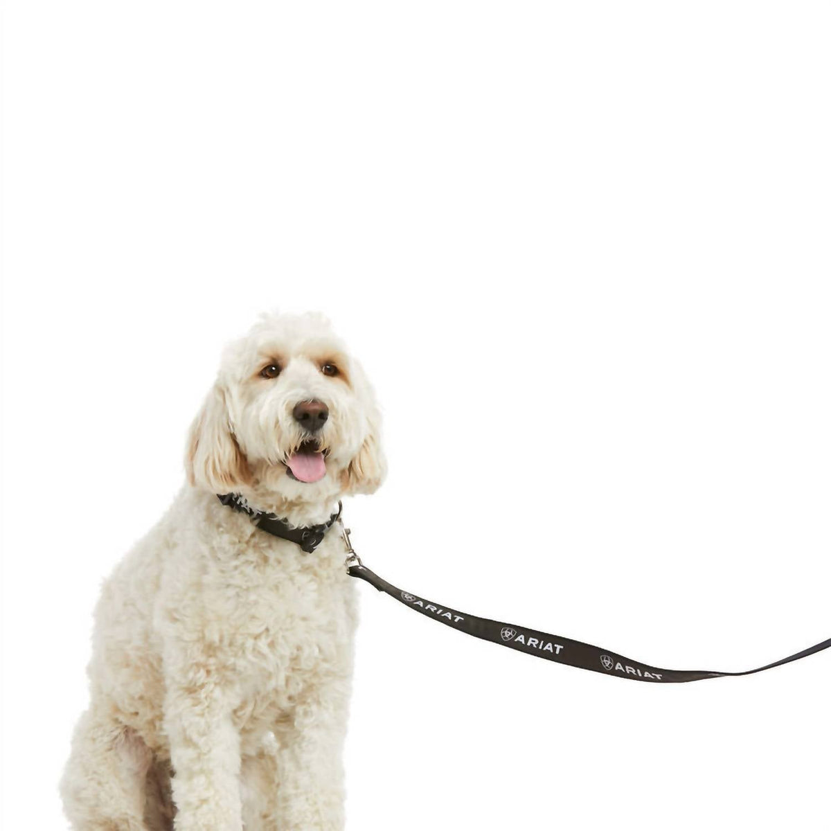 Ariat - Dog Leash