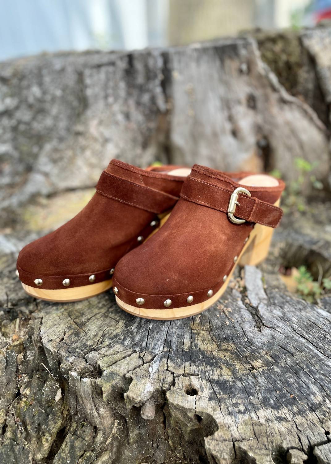 Steve Madden - Women's Studded Suede Clog