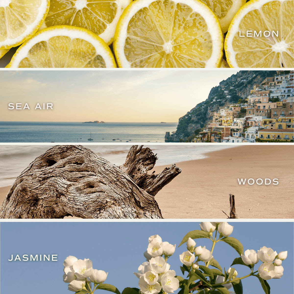 Coastal Lemon Soy Candle - White Jar - 11 oz