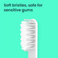 quip Sonic Brush Head Refill 2ct - Missing Box