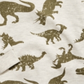 Epic Threads Little Boy's Dino Thermal T-Shirt Brown Size 5