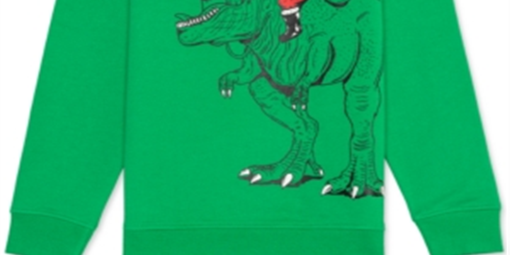 Jem Big Boy's Santa Rex Sweatshirt Kelly Green Size X-Large