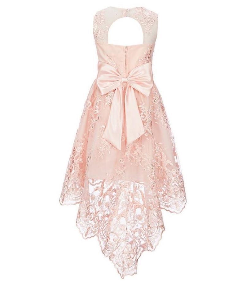 Rare Editions Big Girl's Lace Illusion Dress Pink Size 10