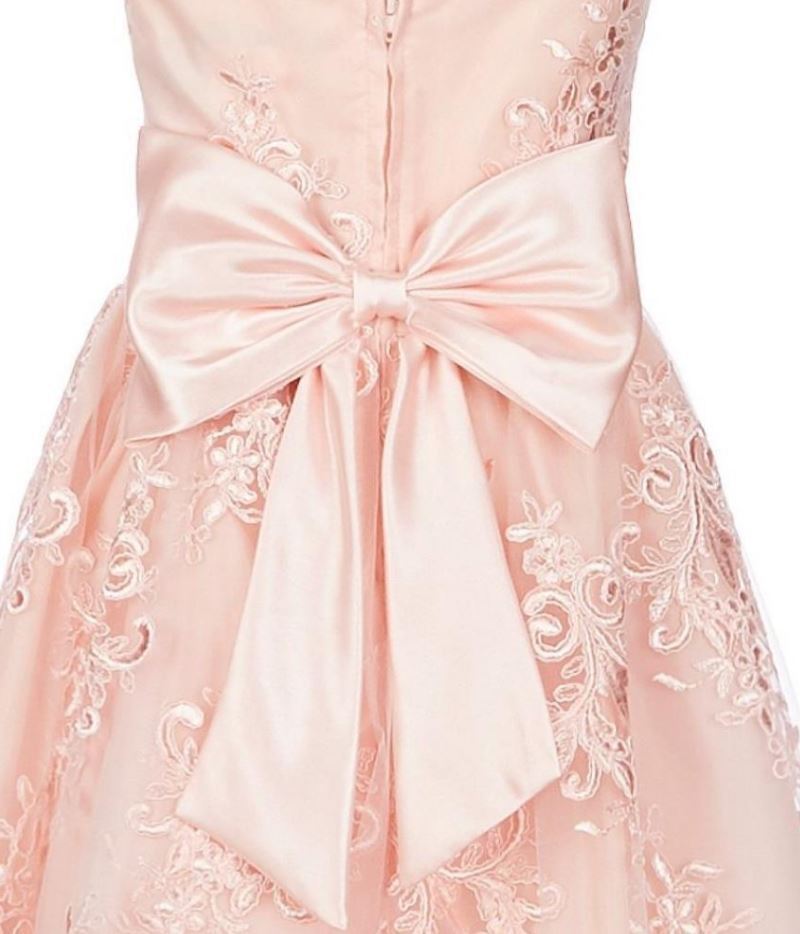 Rare Editions Big Girl's Lace Illusion Dress Pink Size 10