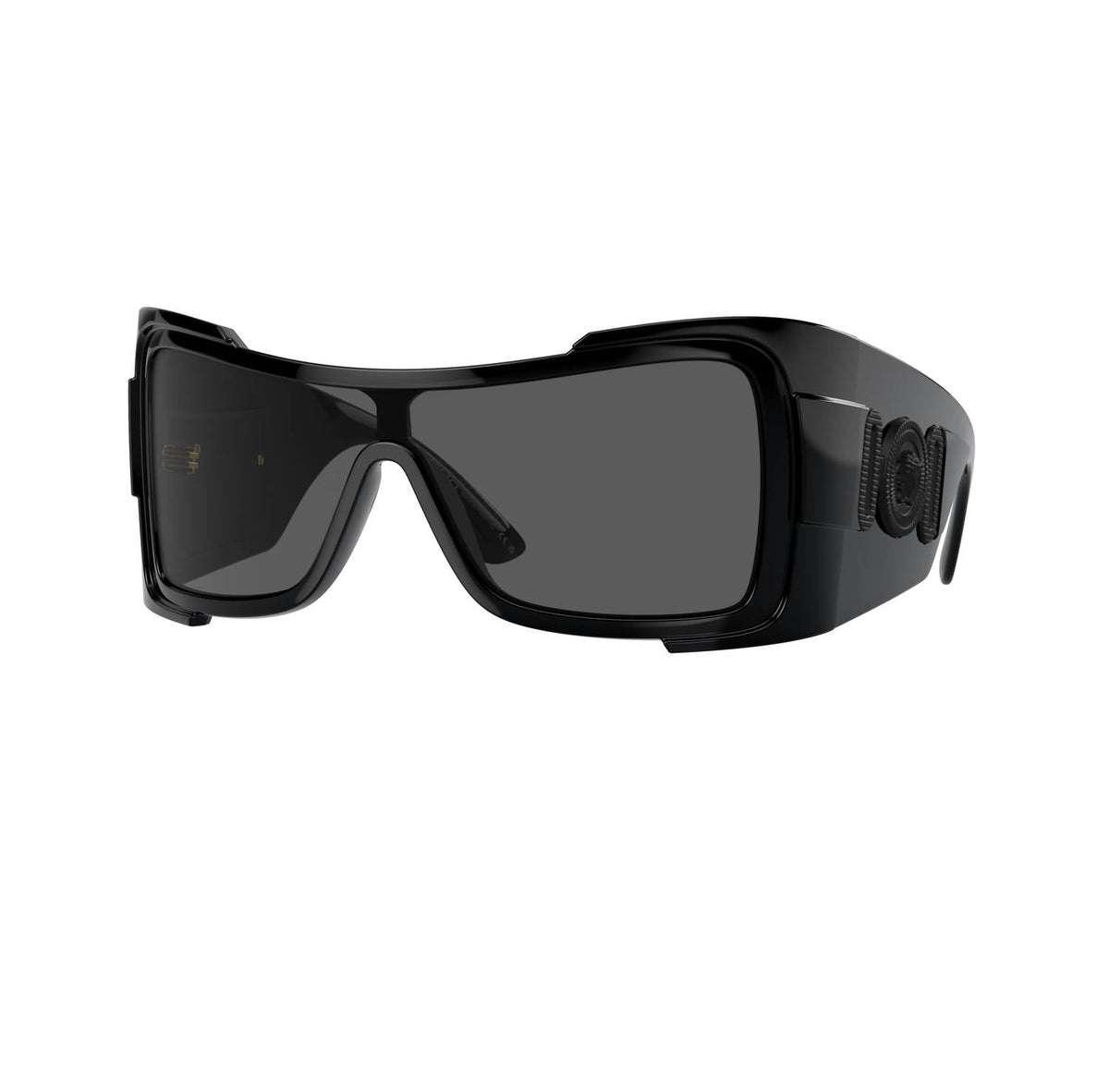 Versace - WOMEN'S 0VE4451 SUNGLASSES