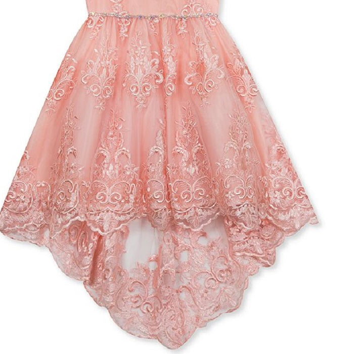 Rare Editions Big Girl's Lace Illusion Dress Pink Size 12